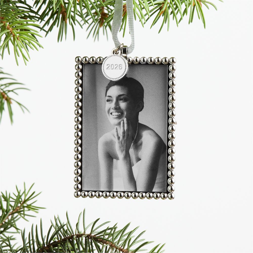 Silver Dot 2026 Frame Christmas Tree Ornament