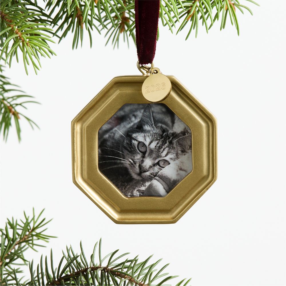 Octagon 2026 Frame Christmas Tree Ornament