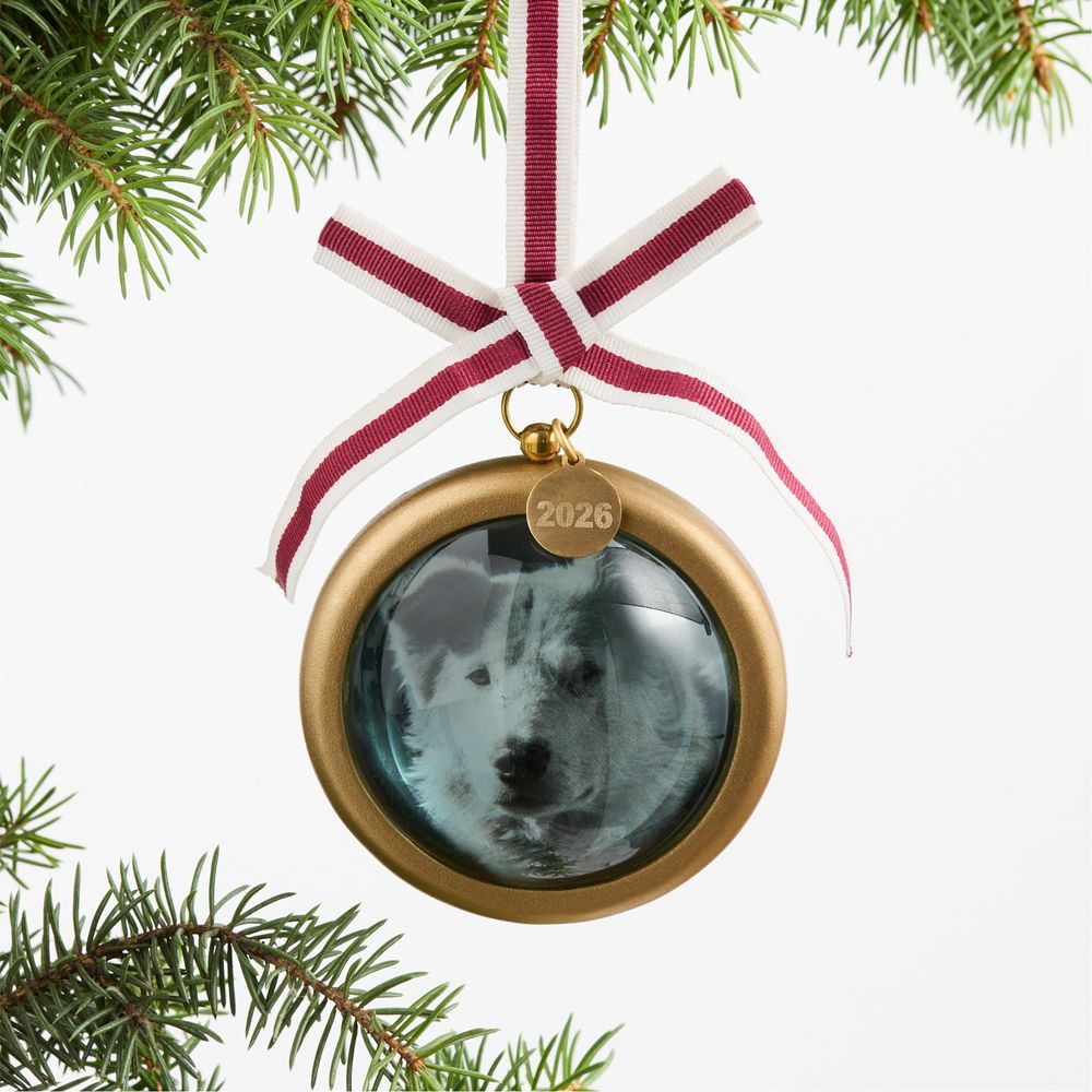 Pool of Light 2026 Frame Christmas Tree Ornament
