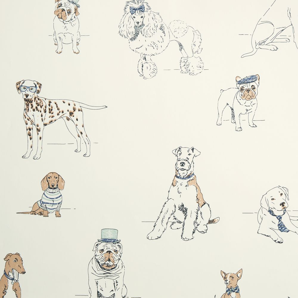 Best in Show Wallpaper