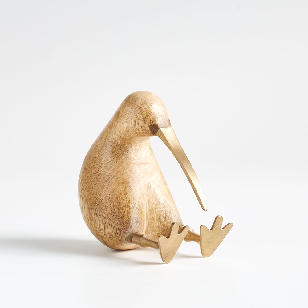 Kiwi Bird
