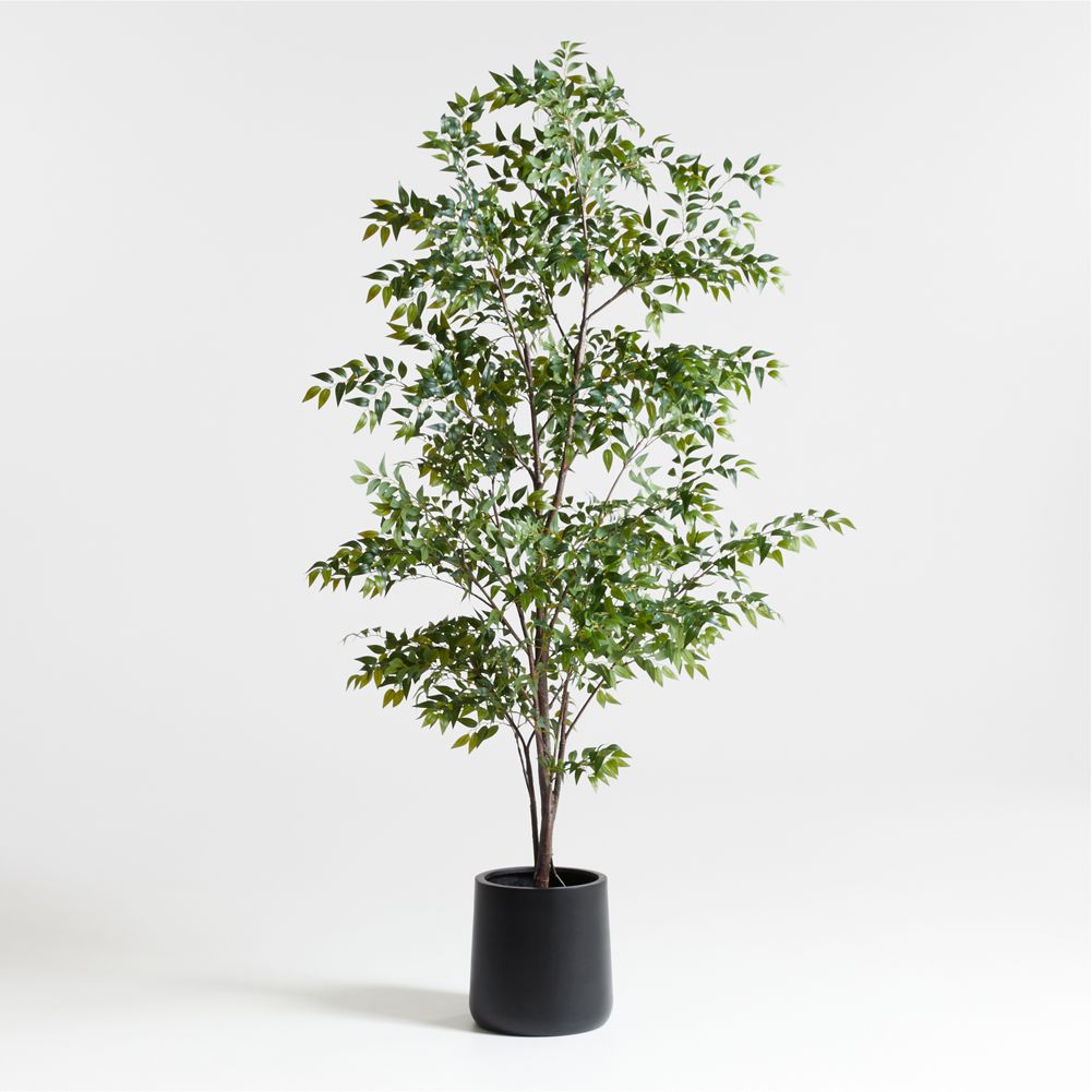 Faux Ficus Tree 8'