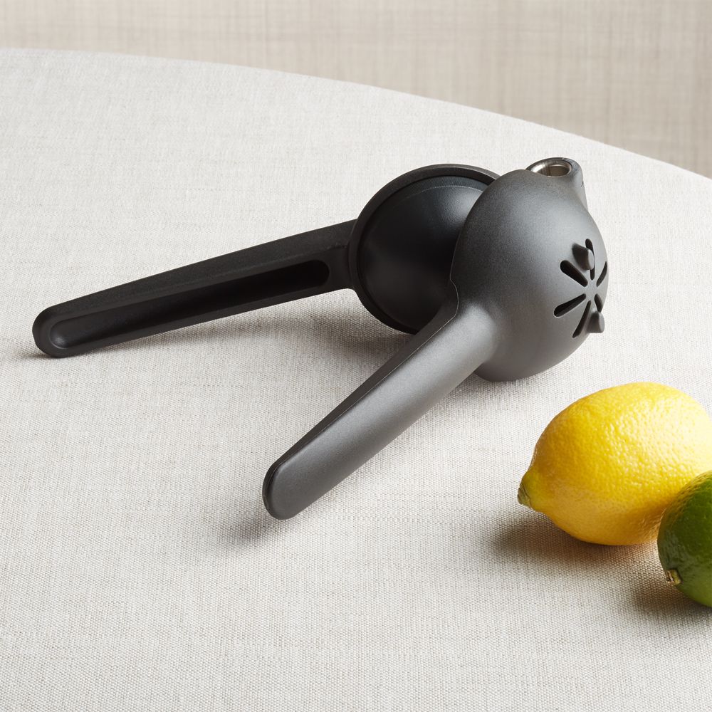 Rabbit Citrus Juicer