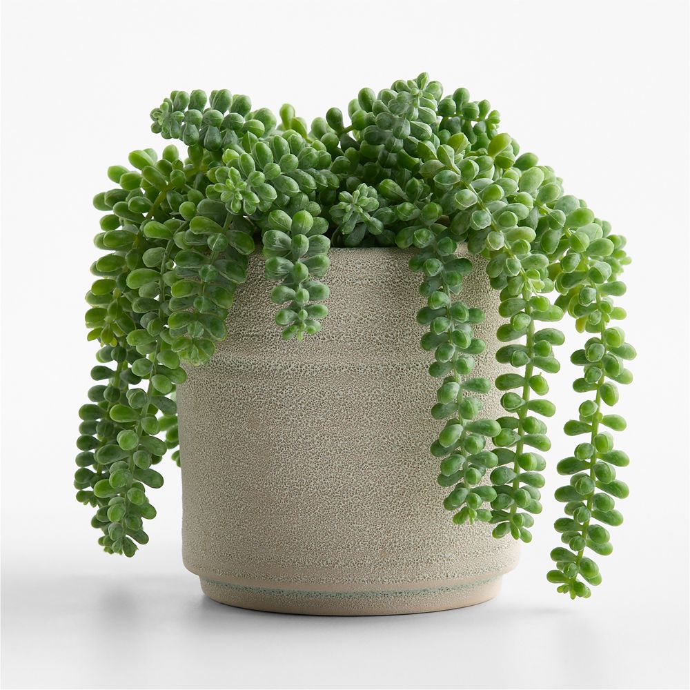 Potted Faux Burros Tail Succulent 7"