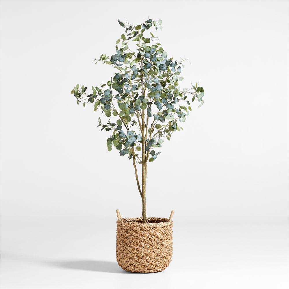 Faux Silver Dollar Eucalyptus Trees