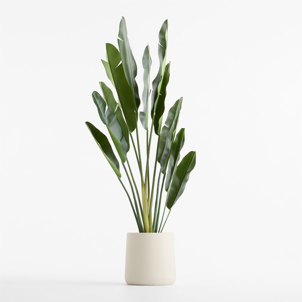 Potted Faux Bird of Paradise Plant 74"