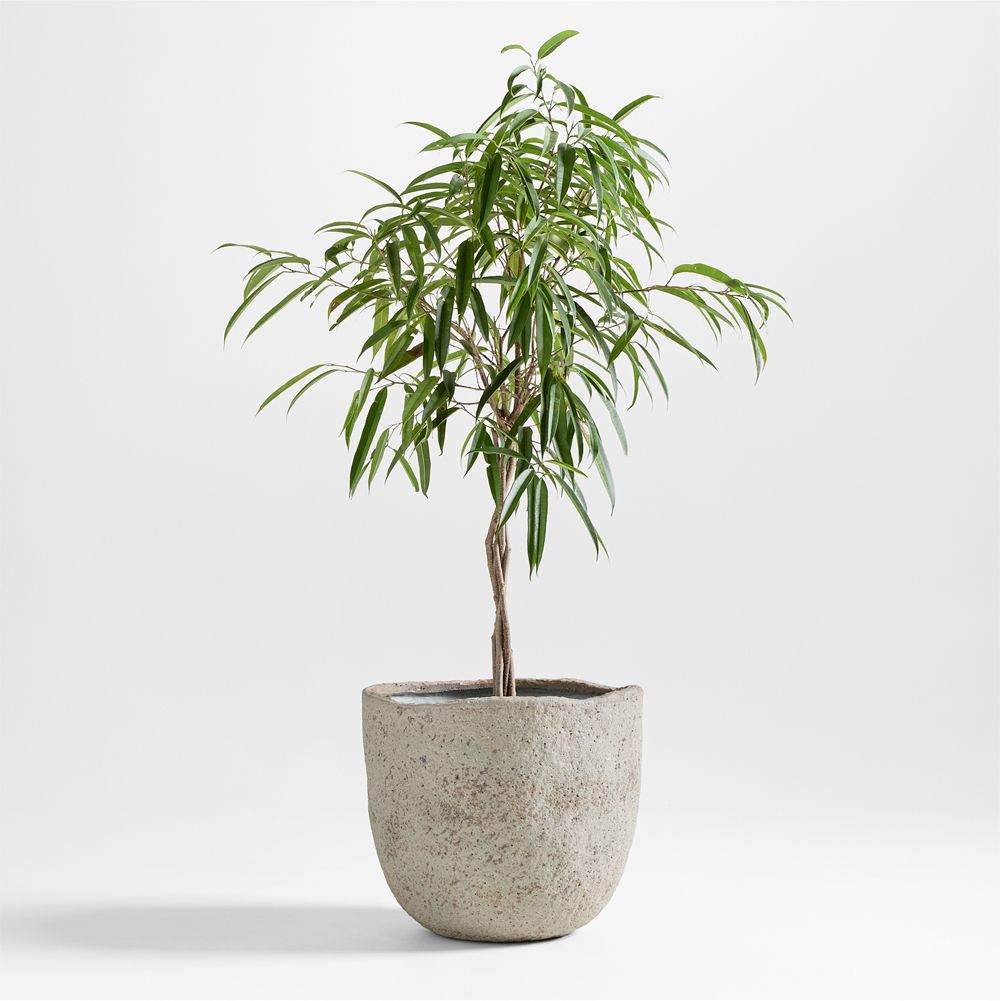 Cavo Warm Grey Textured Indoor/Outdoor Planters