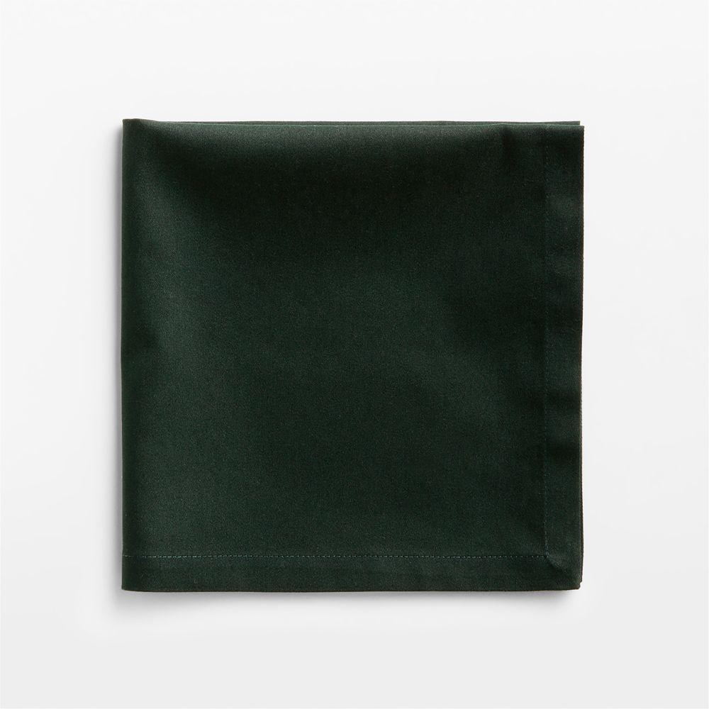 Aspen Spruce Green Organic Cotton Napkin, Set of 4