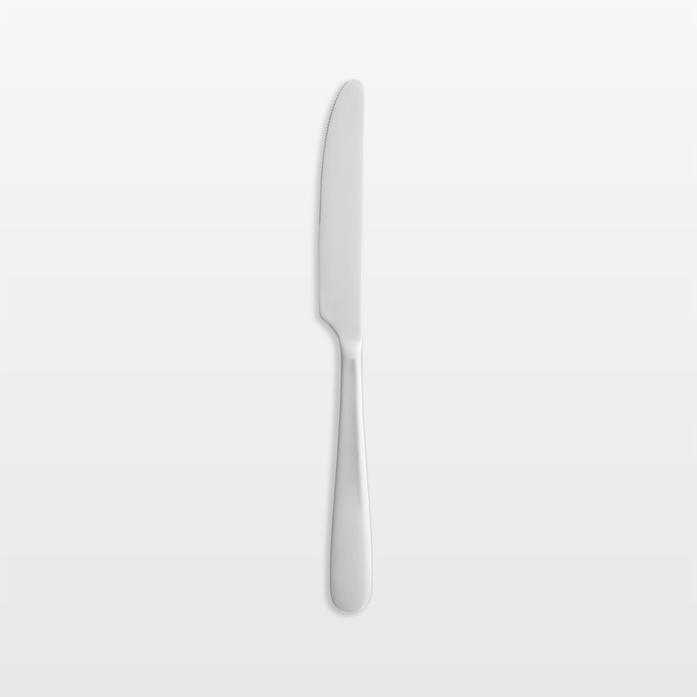 Fusion Satin Dinner Knife