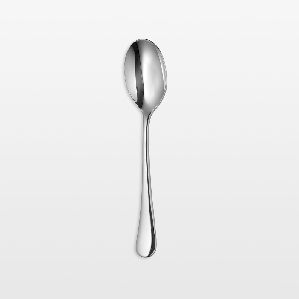 Caesna Mirror Serving Spoon