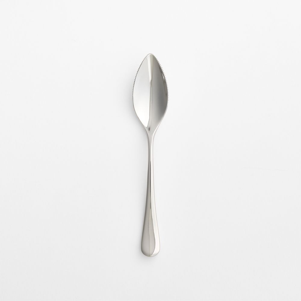 Caesna Mirror Grapefruit Spoon
