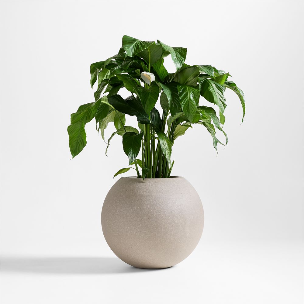Sphere Sand Indoor/Outdoor Planters