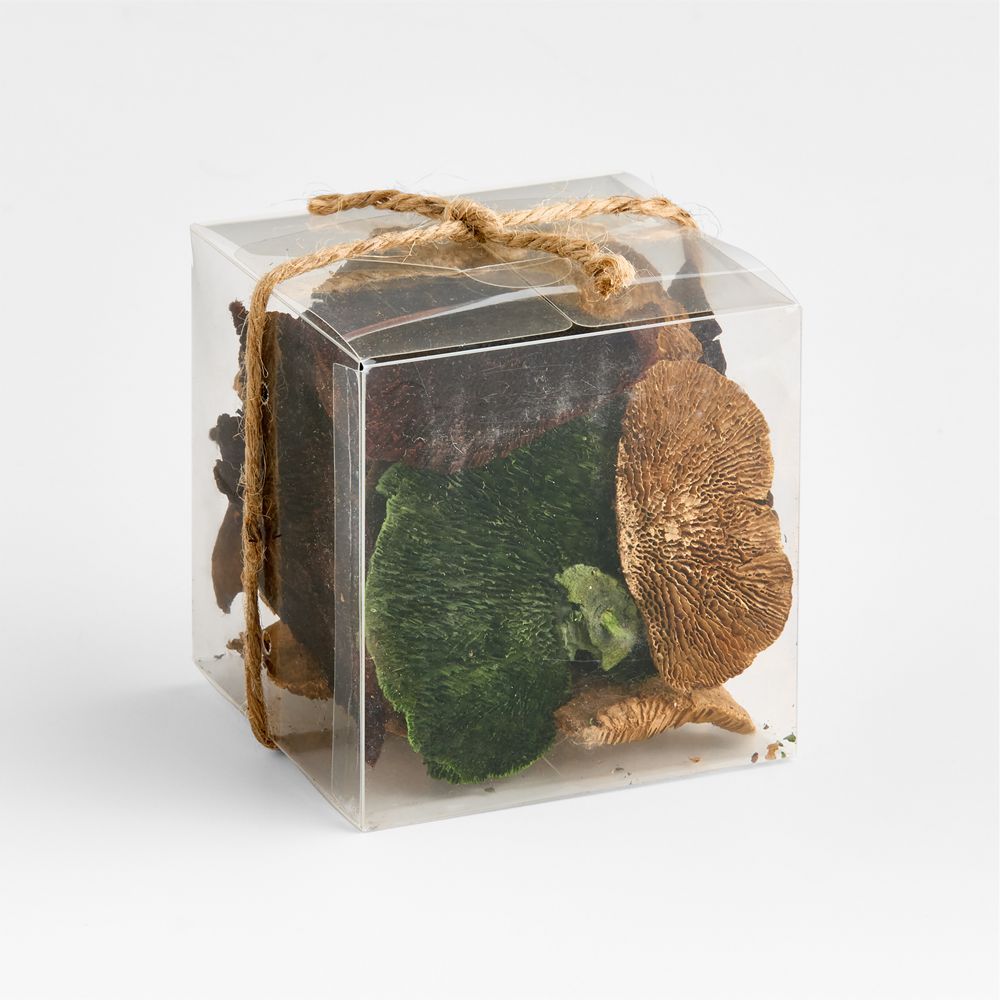 Alternative view of Dried Mushroom Bowl & Vase Filler