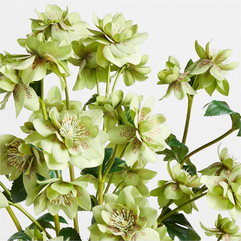 Alternative view of Faux Green Rose Spray 36" by Abigail Ahern