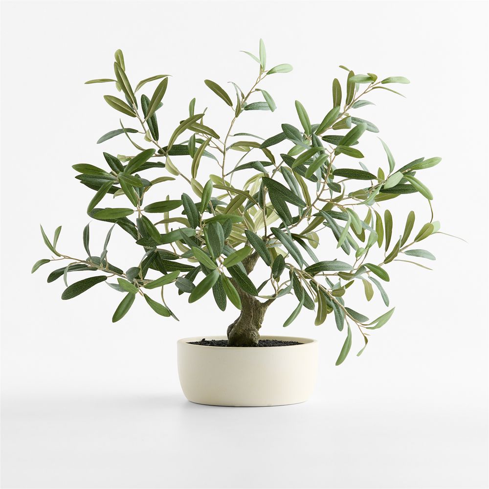 Potted Faux Olive Tree 20"