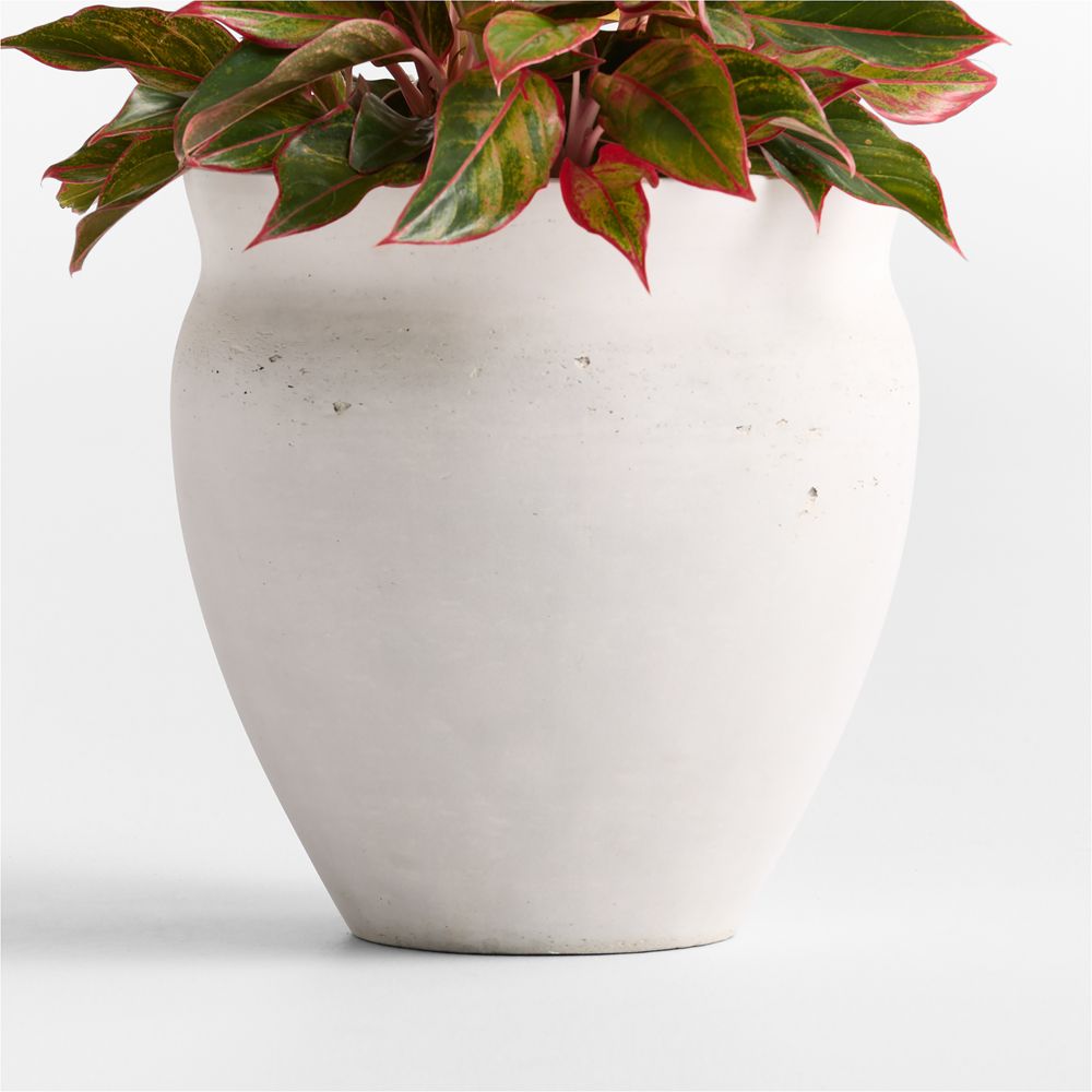 Illara Ivory Indoor/Outdoor Planter