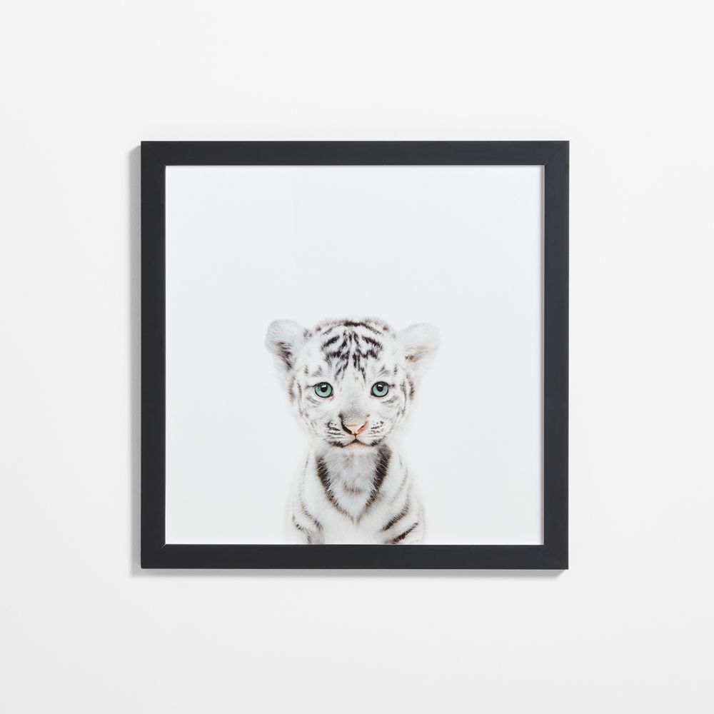Baby White Tiger Black Wood Framed Wall Art Print