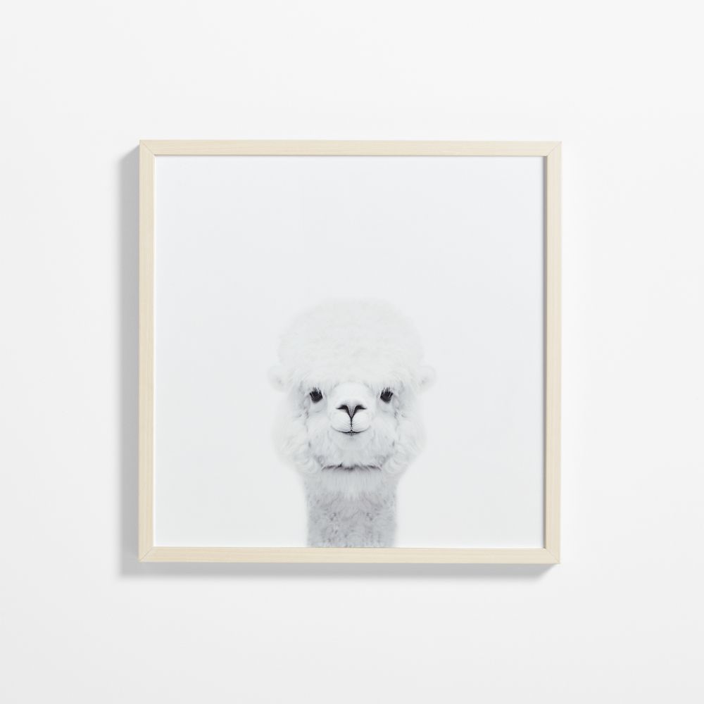 Baby Alpaca Maple Wood Framed Wall Art Print
