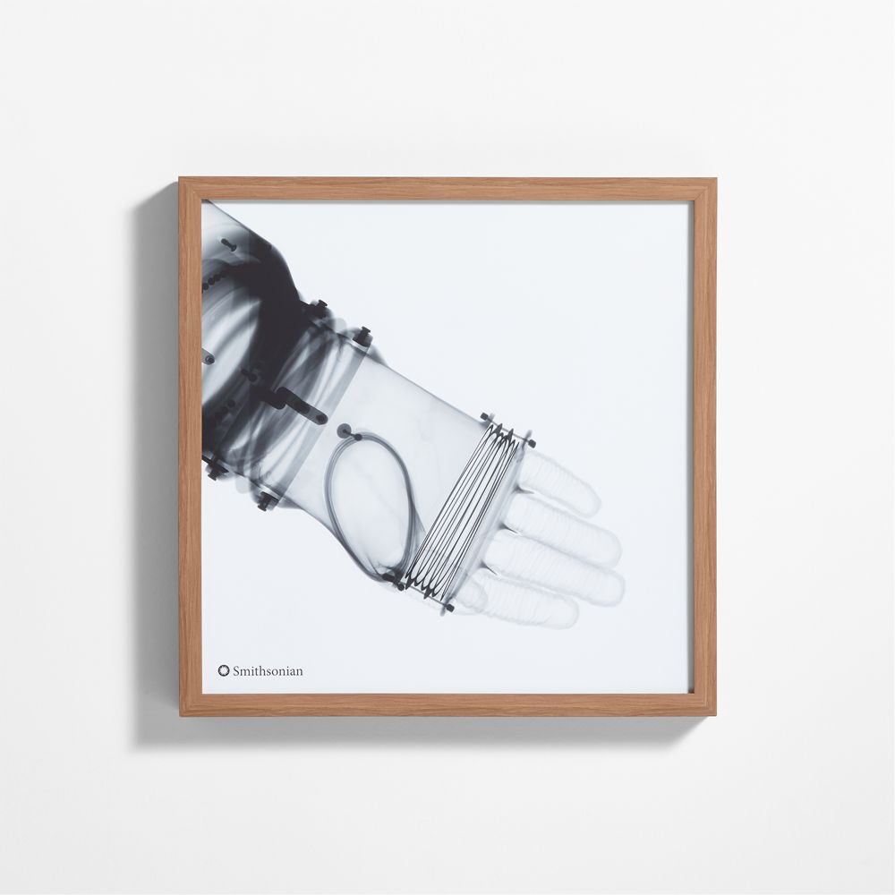 Smithsonian RX-1 Arm Framed Wall Art Print