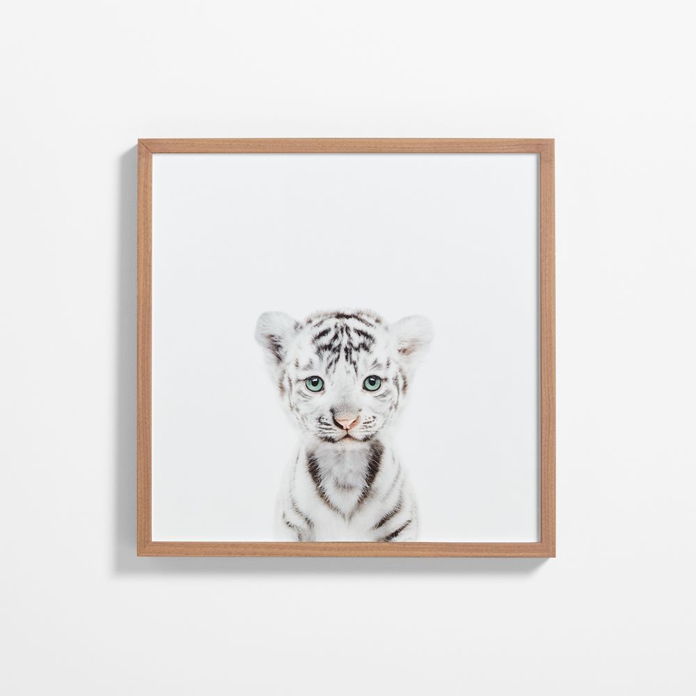 Baby White Tiger Walnut Wood Framed Wall Art Print