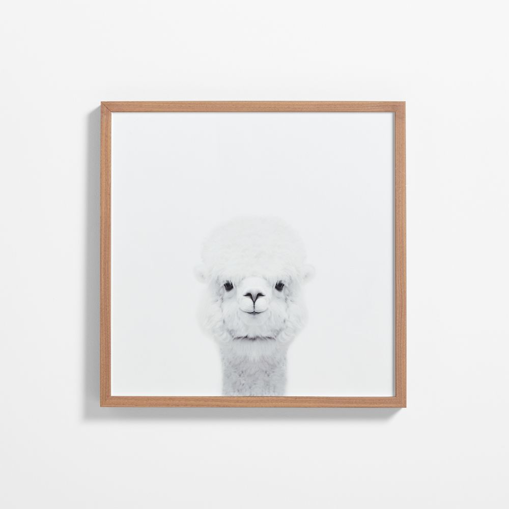 Baby Alpaca Walnut Wood Framed Wall Art Print