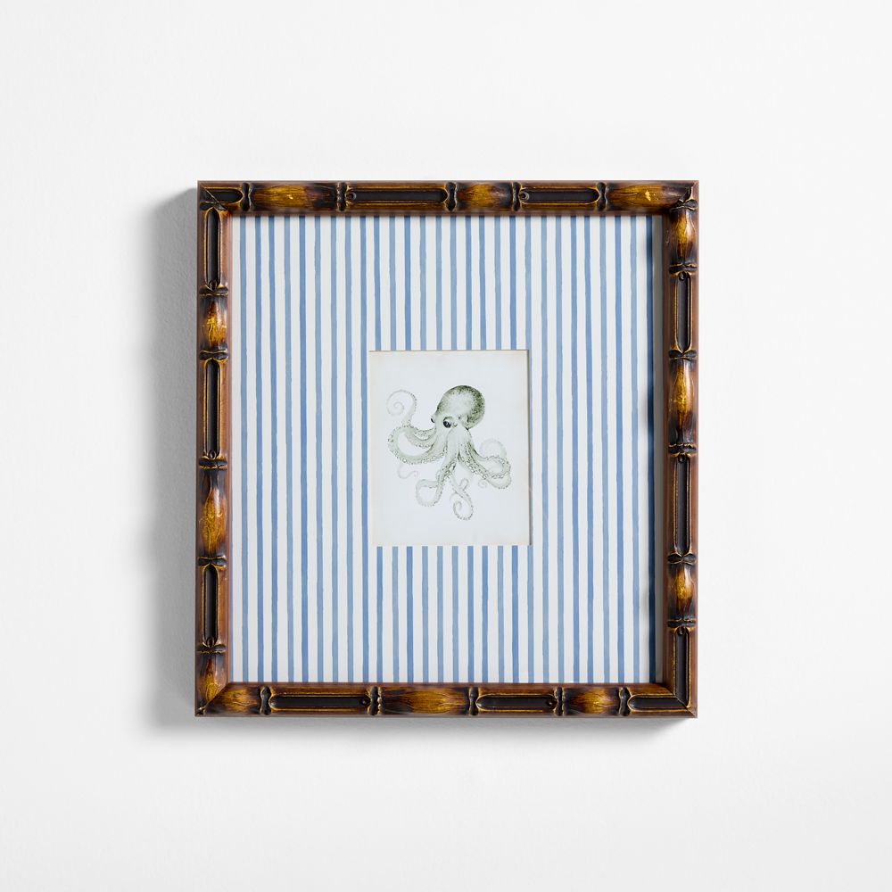 Octopus Framed Wall Art Print by Jake Arnold