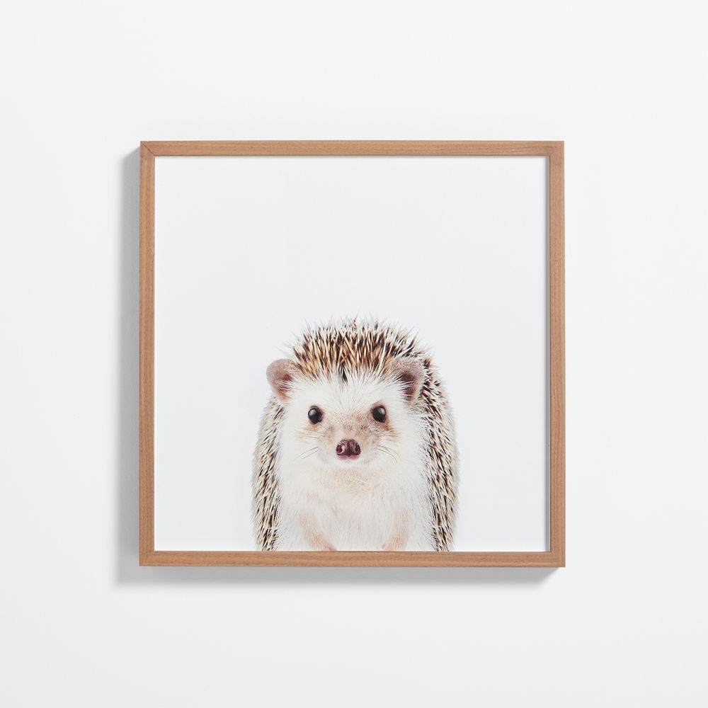 Baby Hedgehog Walnut Wood Framed Wall Art Print