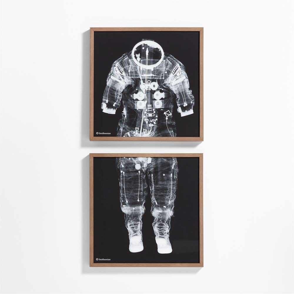 Smithsonian 2-Piece Apollo 14 Pressure Suit Framed Wall Art Print