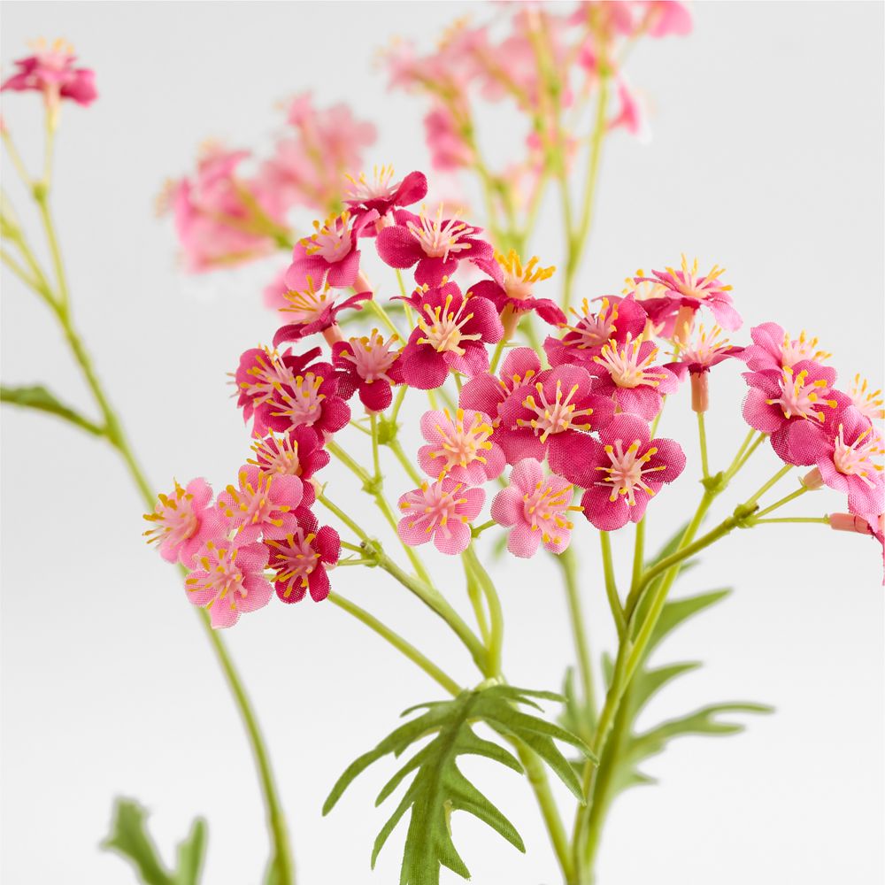 Alternative view of Faux Pink Cow Parsley Stem 43"