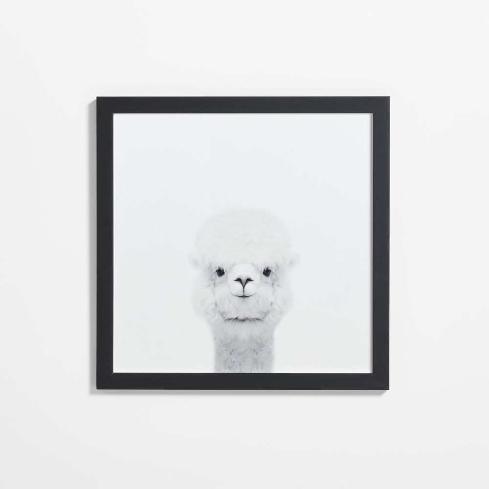Baby Alpaca Black Wood Framed Wall Art Print