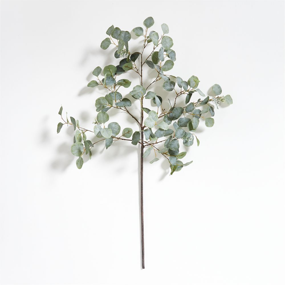 Large Faux Silver Dollar Eucalyptus Stem (Cloned)