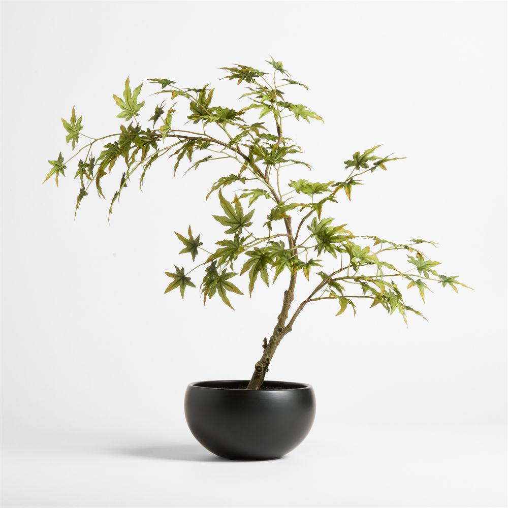 Potted Faux Japanese Maple in Black Pot