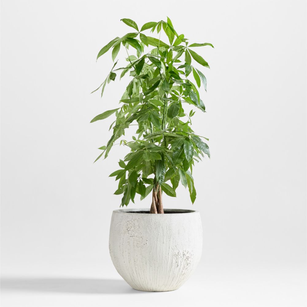 Messina White Textured Indoor/Outdoor Planters