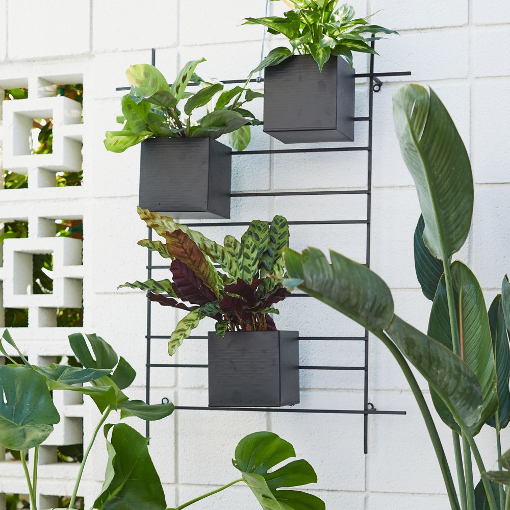 Alternative view of 4 Box Wall Mounted Indoor/Outdoor Planter