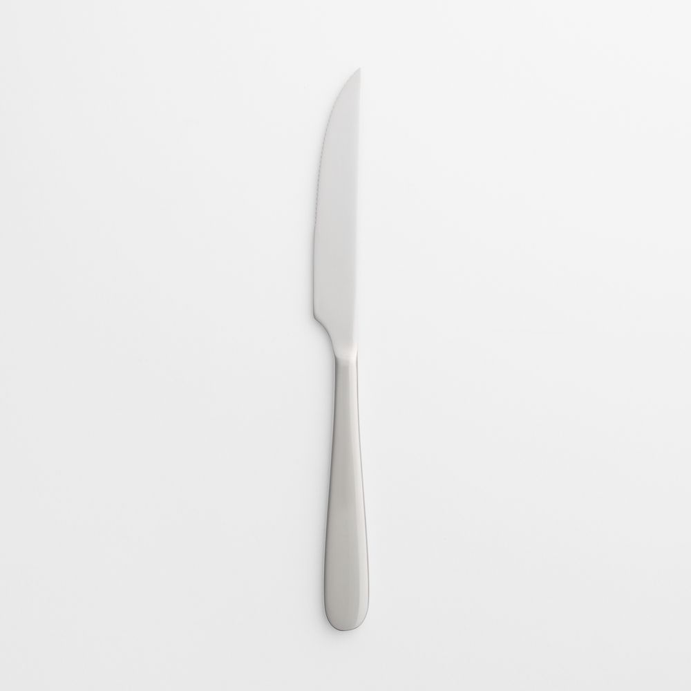 Fusion Satin Steak Knife